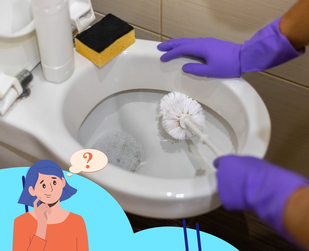 What is The Best Thing to Clean The Inside of a Toilet Bowl?